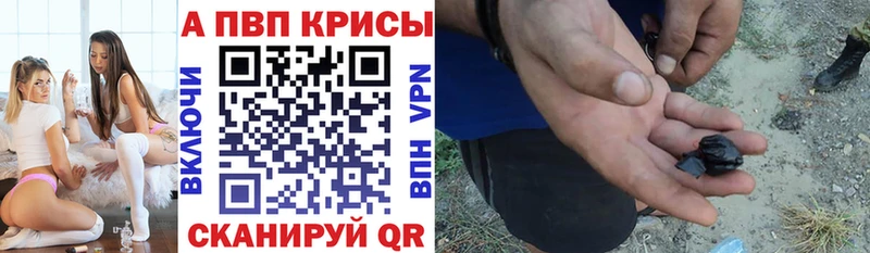 APVP СК Сегежа
