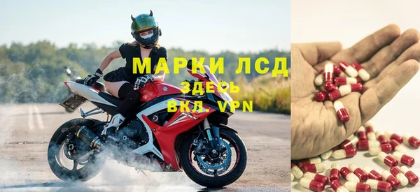 сатива Нестеровская