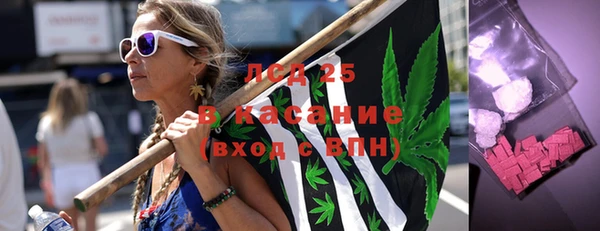 сатива Нестеровская