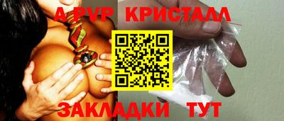 соль ск Кингисепп