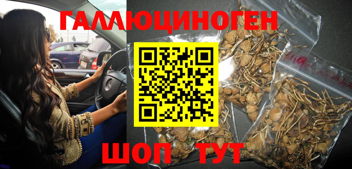 Галлюциногенные грибы ЛСД Сегежа