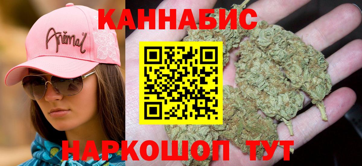 Бошки марихуана семена  Вход с VPN  Канабис White Widow  Сегежа  Канабис Bruce Banner 